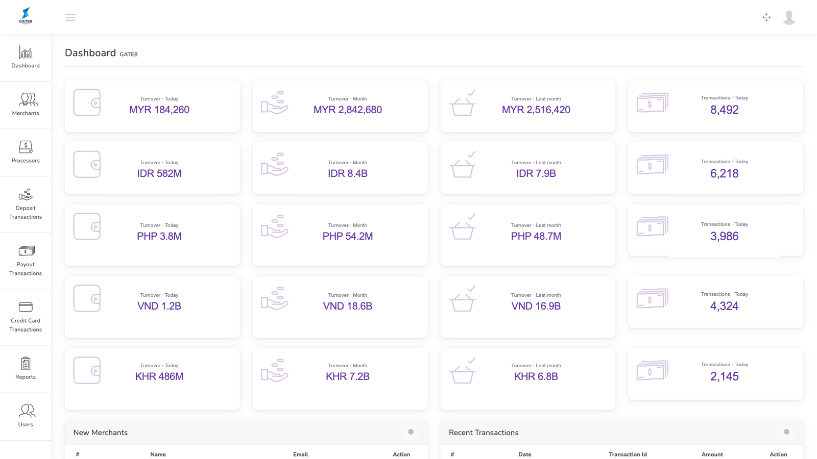 Gate8 dashboard showing multi-currency turnover and transaction summaries